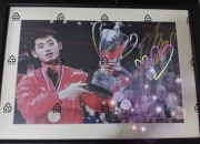 开云体育-比利时乒乓球队血洗法国乒乓球队，张继科绝境逆转的简单介绍