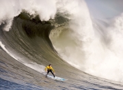开云体育官方网站-布伦森爆发诠释唯一性，深圳精神与森林狼的淘汰赛哲学