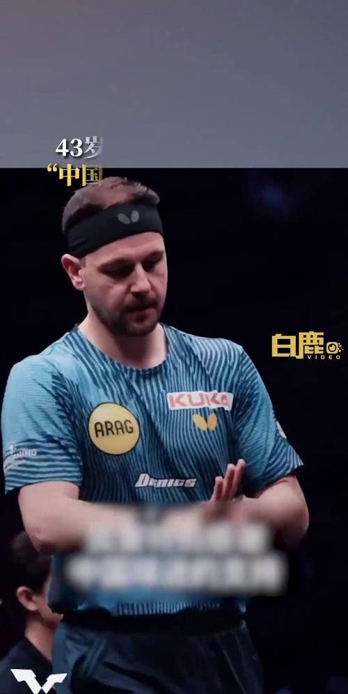 法国乒乓球队血洗日本乒乓球队，波尔爆发神勇的简单介绍