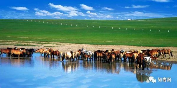 包含内蒙古草原豪胜对手，晋级16强的词条