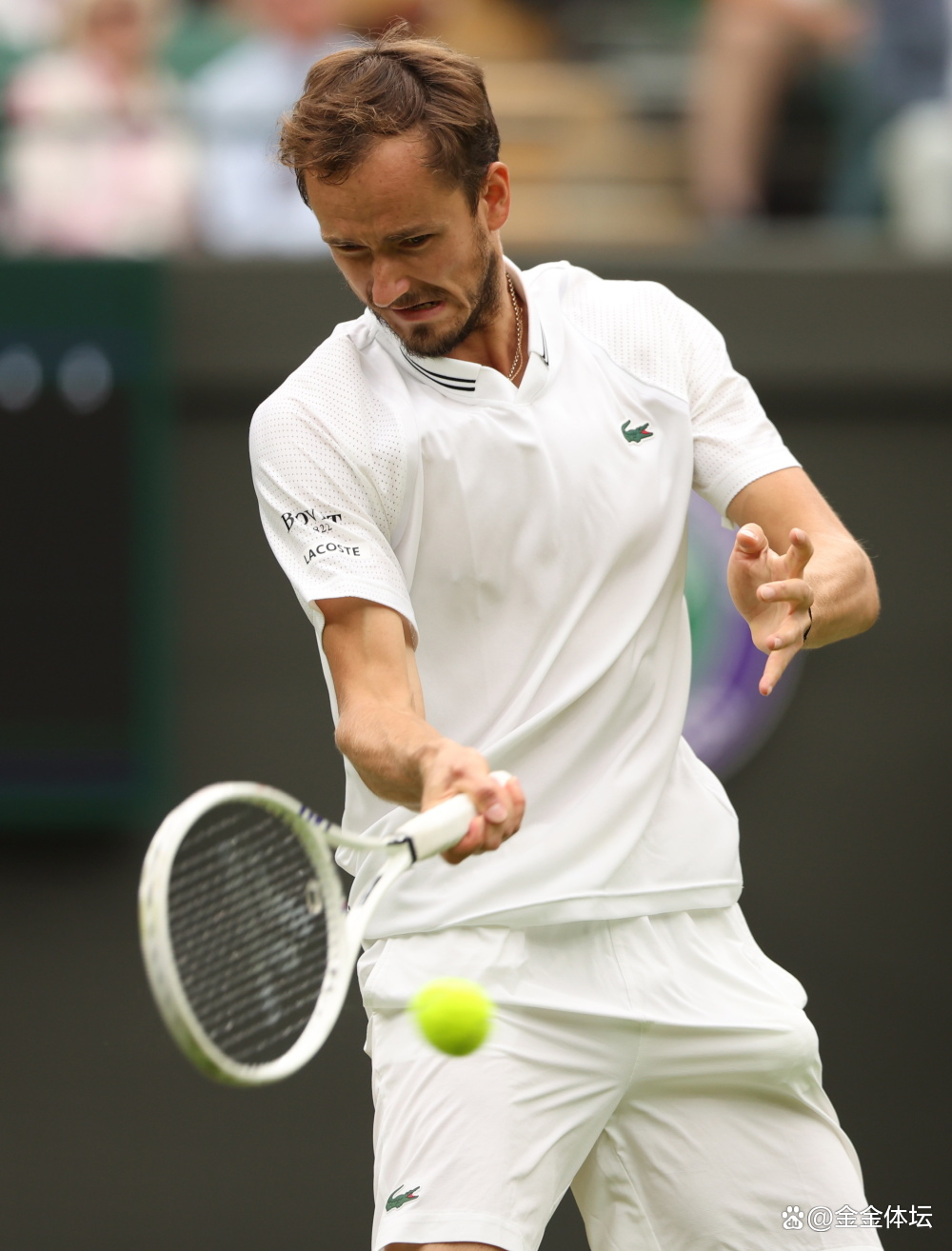 年终总决赛完胜蒙特卡洛大师赛，梅德韦杰夫关键制胜的简单介绍