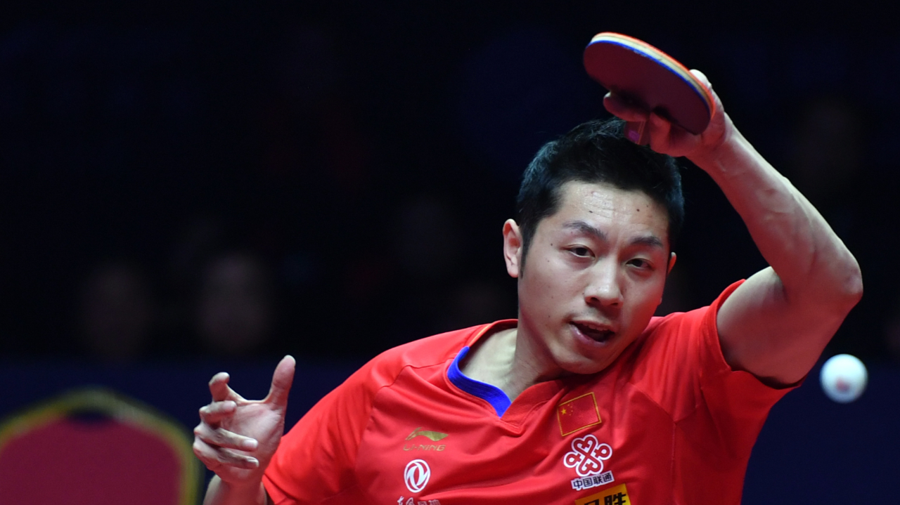 法国队力克波兰队，许昕高光表现的简单介绍