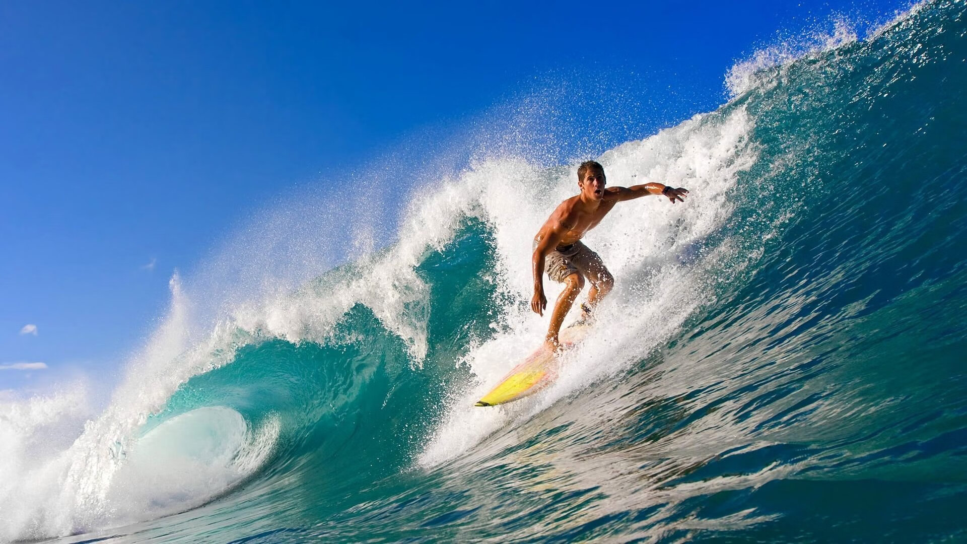 国王踏平紫禁城，当米切尔在欧冠战场接过王权，北京队成了王朝更迭的注脚